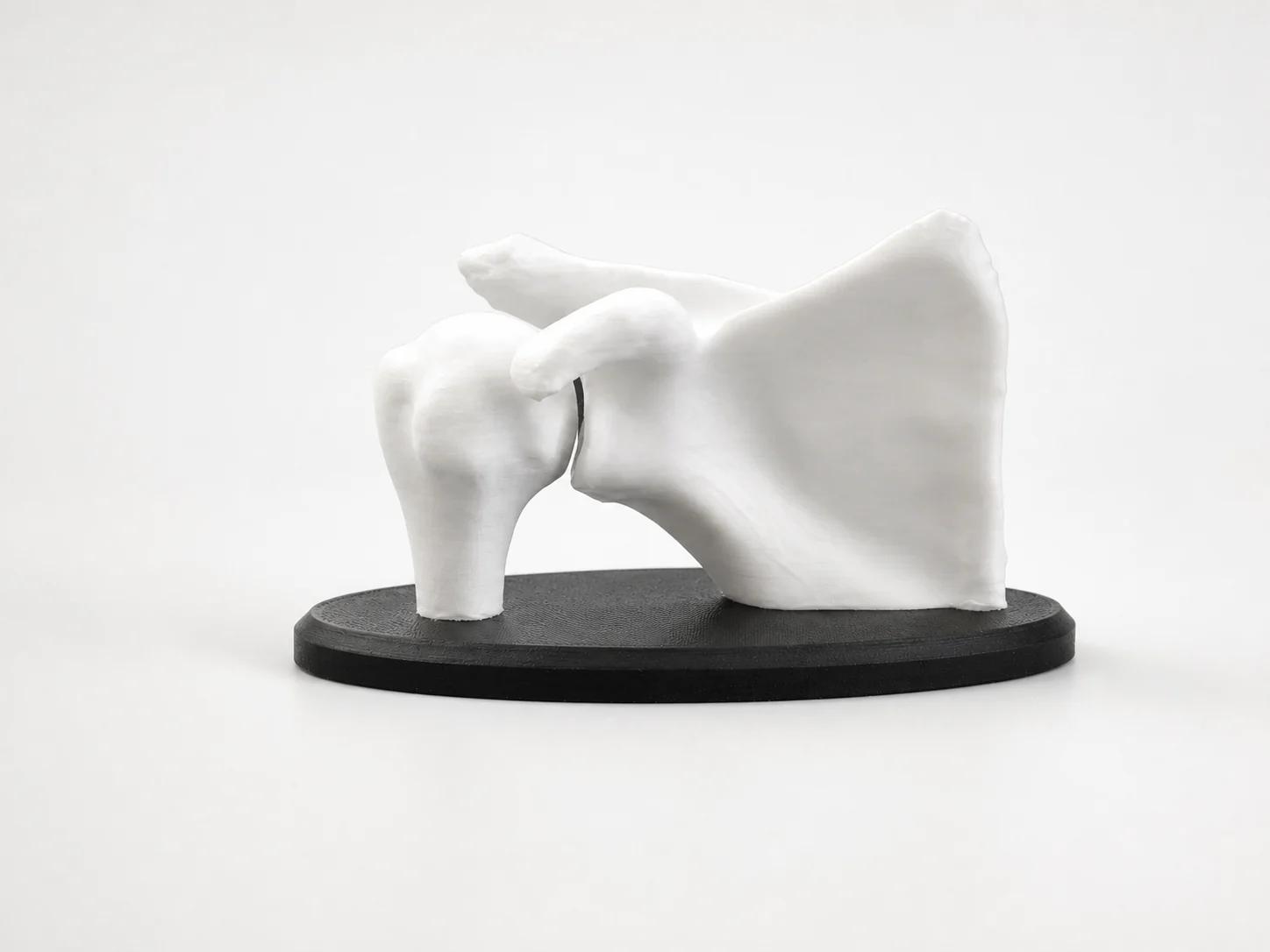 Modèle anatomique d'articulation de l'épaule imprimé en 3D en blanc sur socle noir